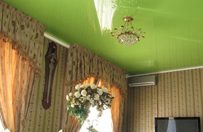 Зеленые натяжные потолки рисунок 1209